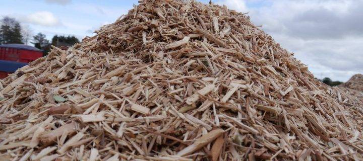 Biomass Fuel Helps with Net Zero Emissions Target