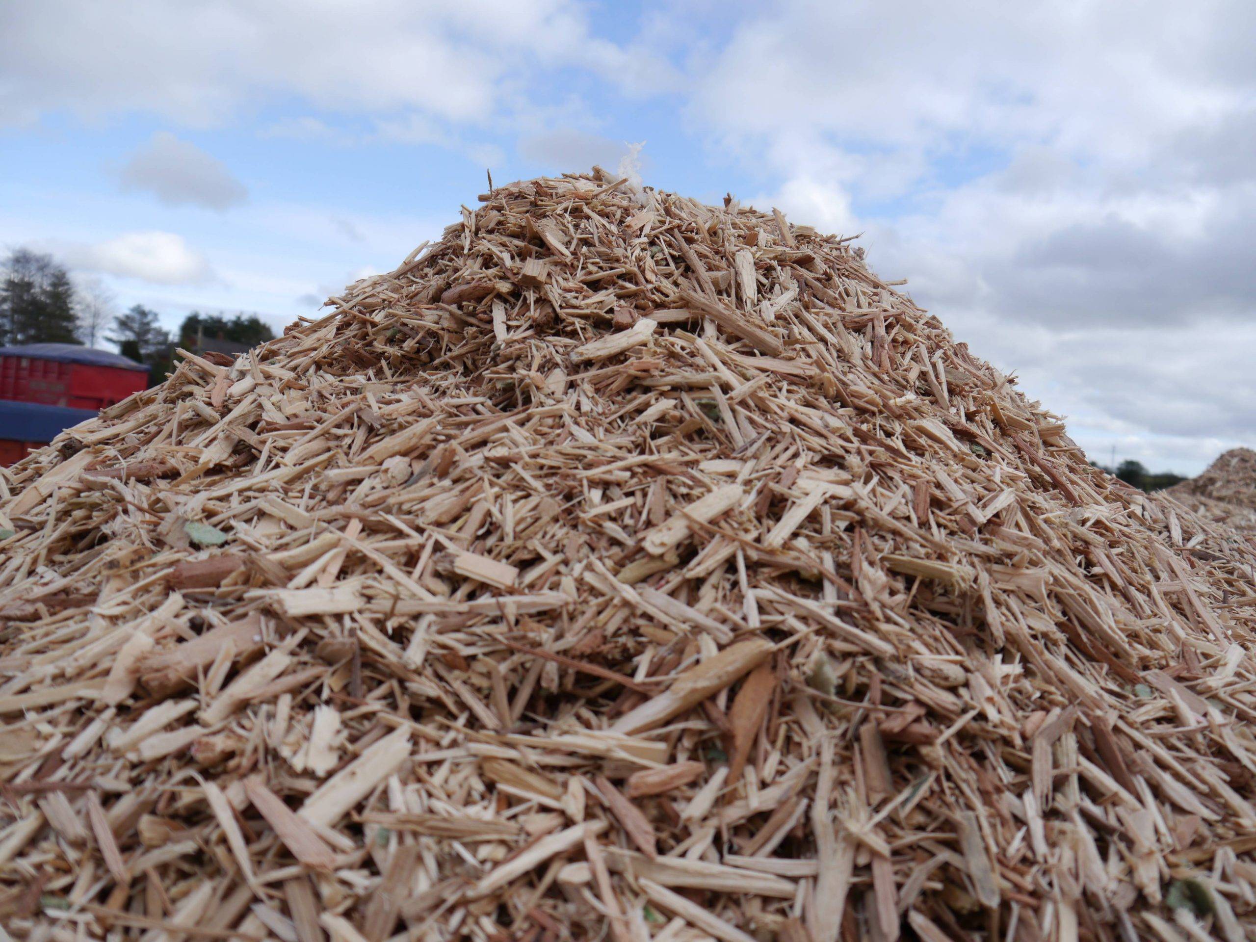 Biomass Fuel Helps with Net Zero Emissions Target