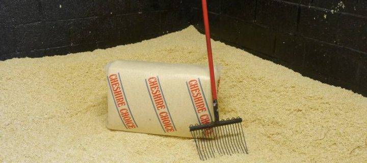 Charge to Victory with Horse Shavings from P.H Winterton and Son