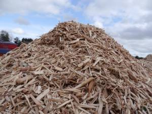 Biomass Fuel Gaining Government Support