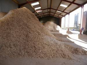 eco friendly shavings and sawdust