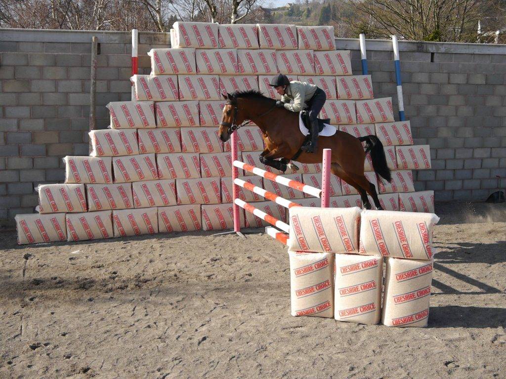 Cheshire Choice Equine Shavings