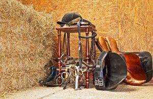 Horse bedding in Derbyshire