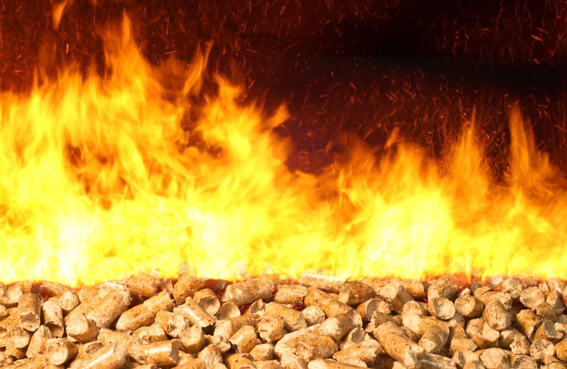 Can Biomass Fuel Boilers Be Used on their Own?