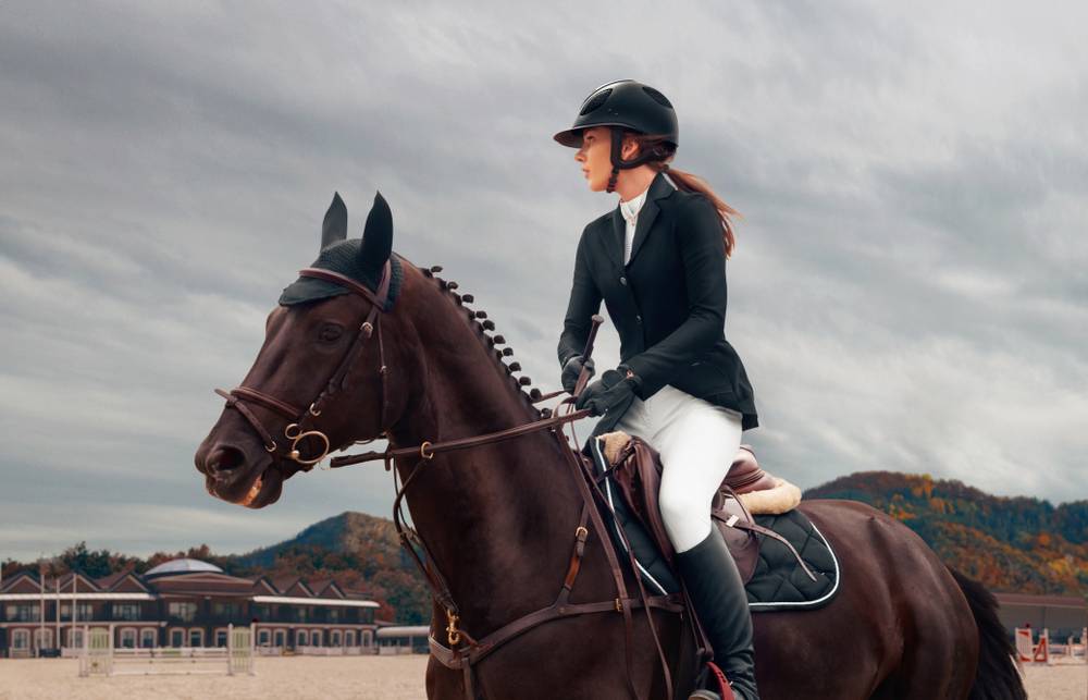 Cleaning Equine Bedding from Stalls Effectively