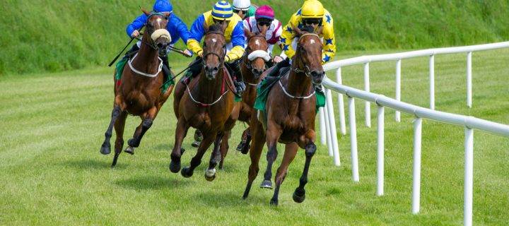 Prepare to Race at the Roodee with Horse Bedding in Staffordshire