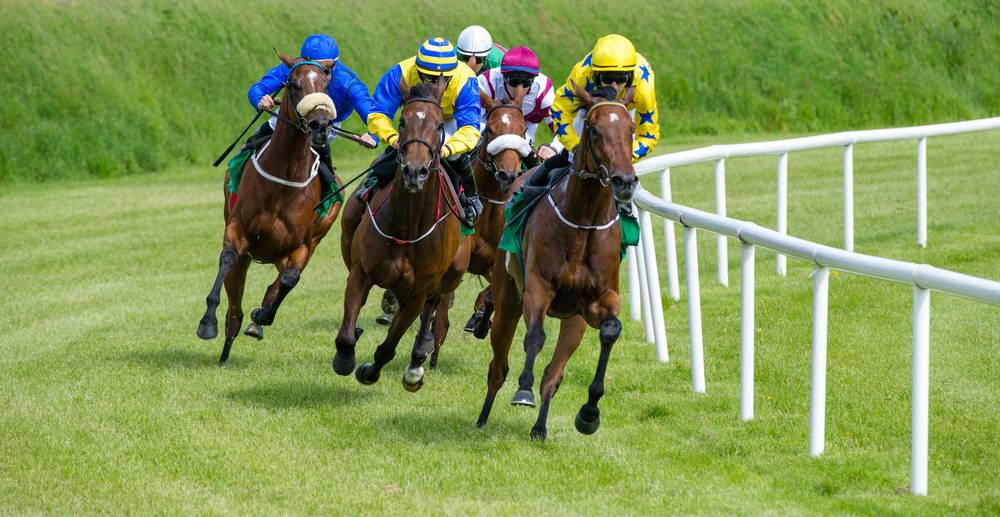 Prepare to Race at the Roodee with Horse Bedding in Staffordshire