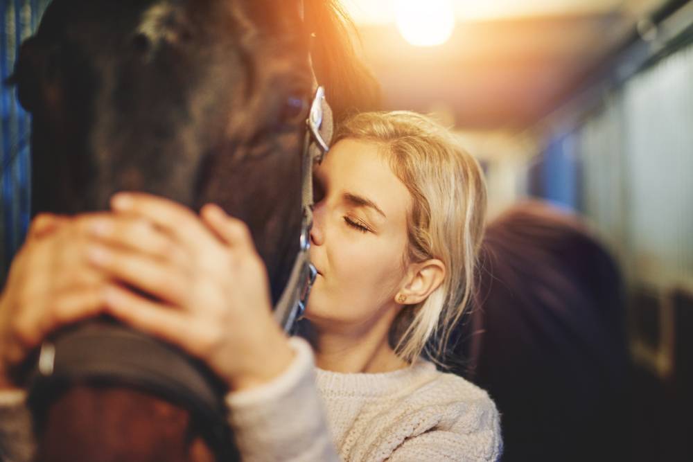 Keeping Your Horse Happy without Riding