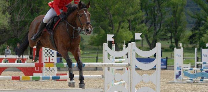 Supporting Equestrians During Localised Lockdown