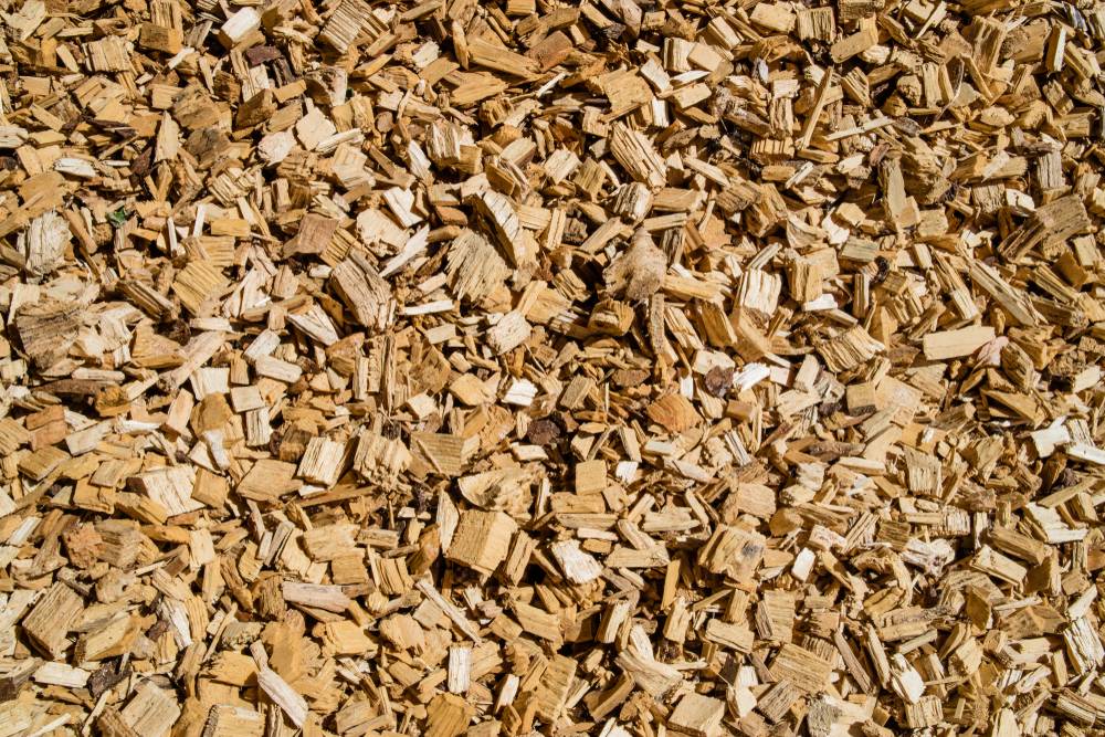 Time to switch to biomass fuel as winter approaches