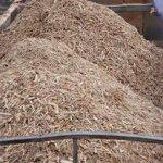 Sawmill waste collection