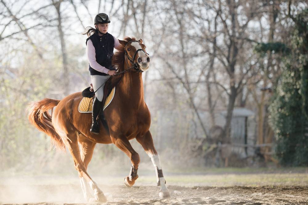 How to Perfect your Riding Position