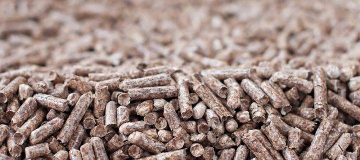 How Biomass Fuel Helps to Reach Climate Targets