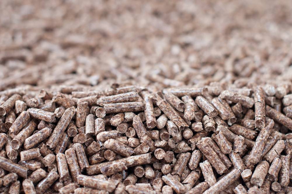 How Biomass Fuel Helps to Reach Climate Targets