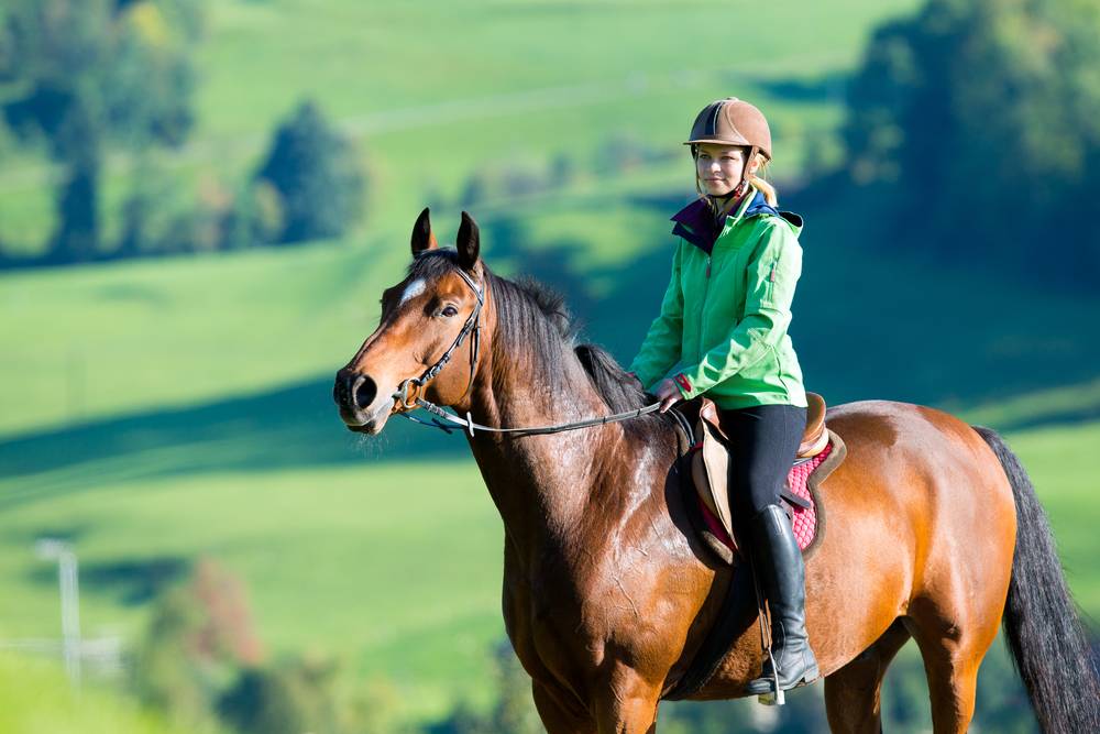 Can I Ride My Horse During Lockdown?