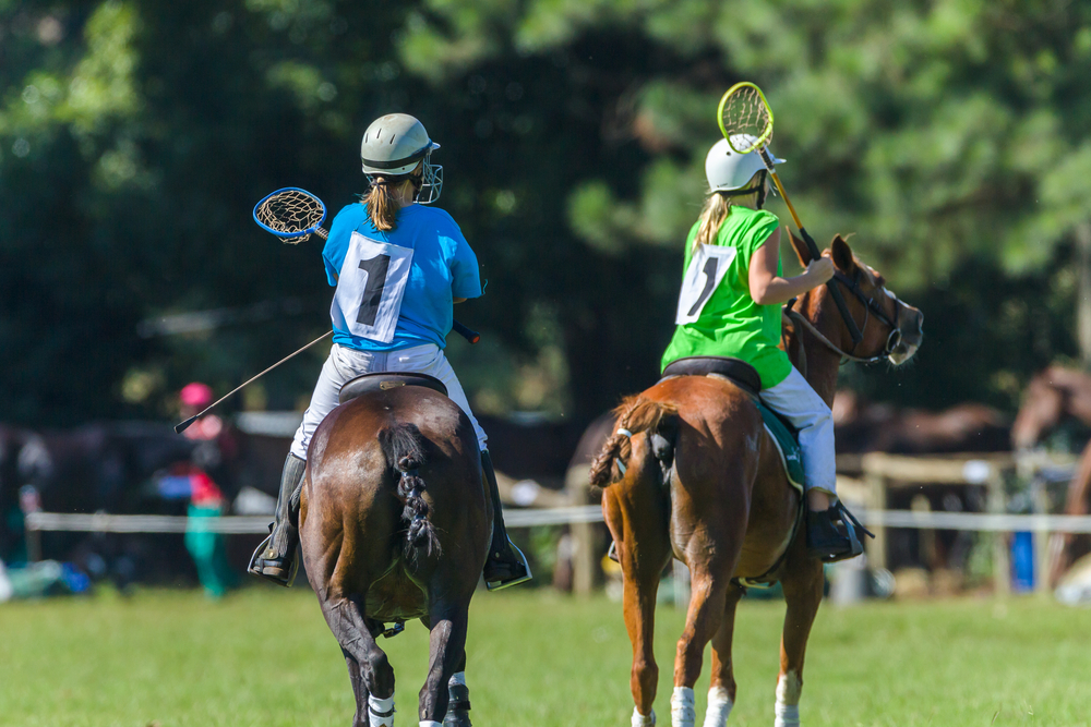 Invest in Horse Bedding Ready for Mounted Games and Polocrosse