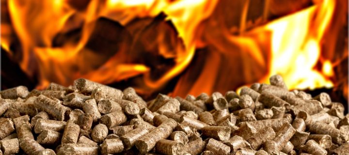 Everything You Need to Know About Biomass Boilers