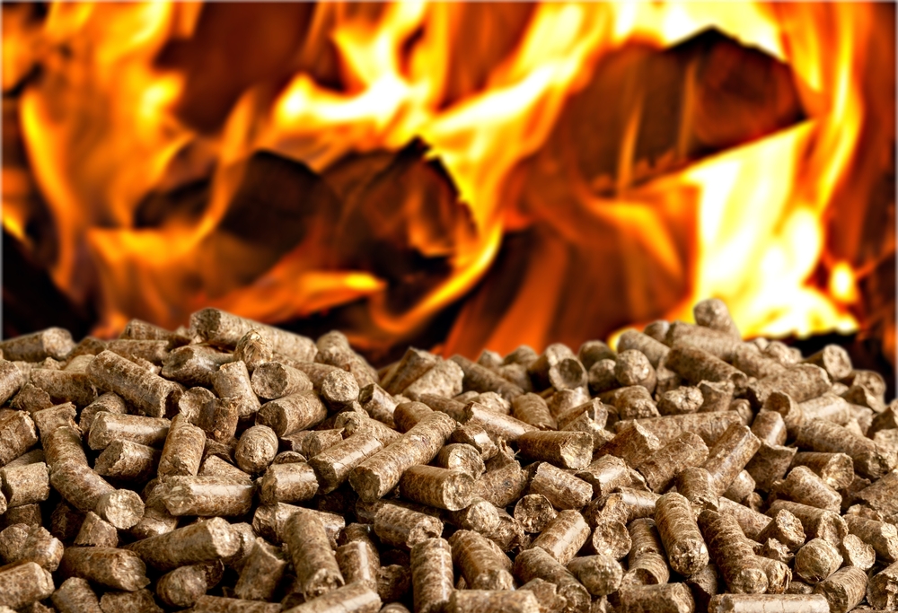Everything You Need to Know About Biomass Boilers
