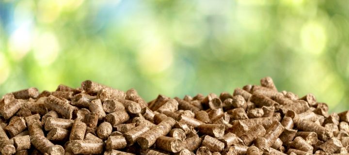 How the New Government Bill Affects Biomass Fuel