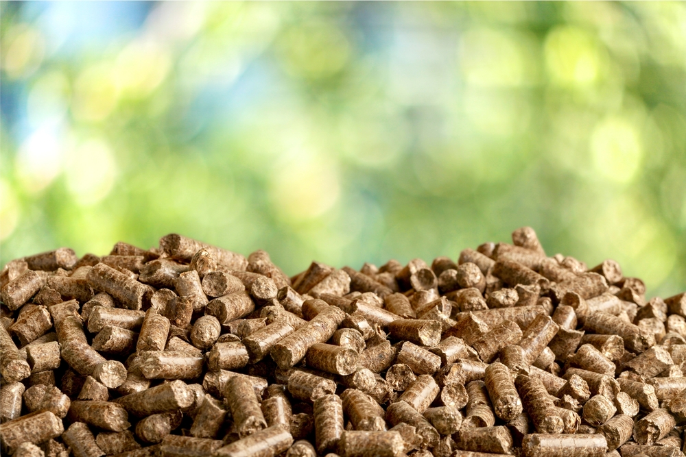 How the New Government Bill Affects Biomass Fuel