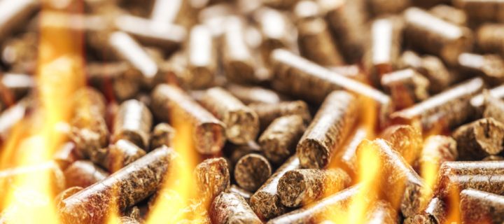 Understanding the difference between biomass fuel wood chip and wood pellets