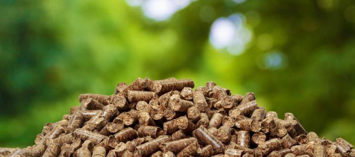 Why Should I Use Biomass Energy?