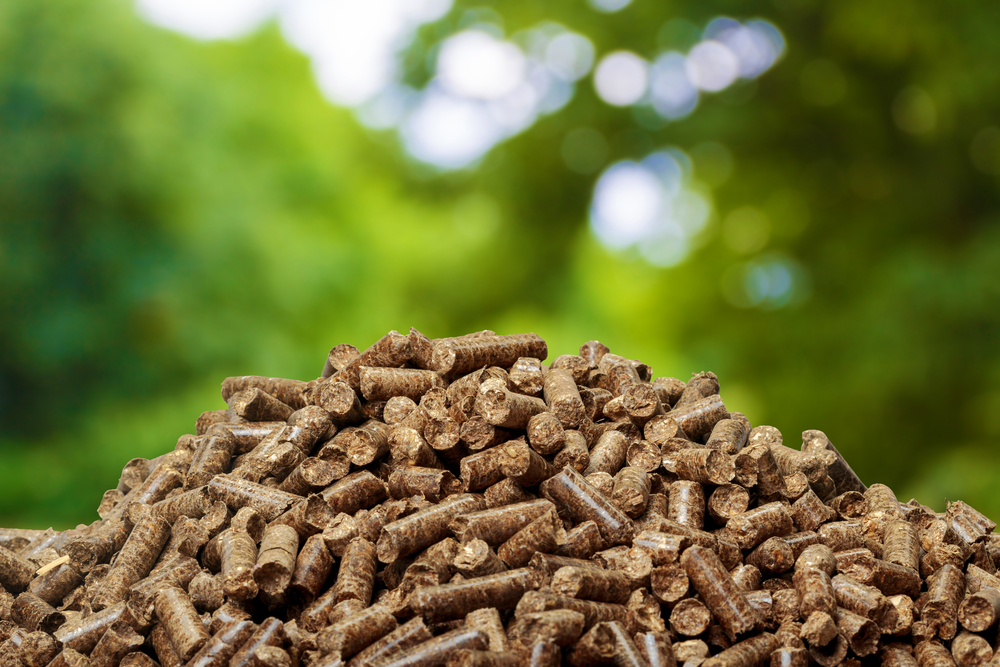 Why Should I Use Biomass Energy?