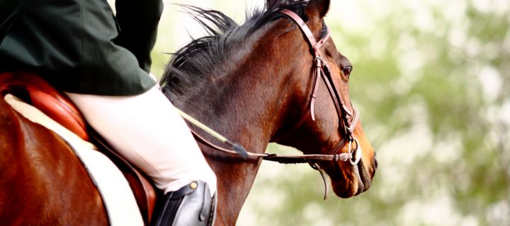 How Tier 3 Restrictions Affect Horse Riders