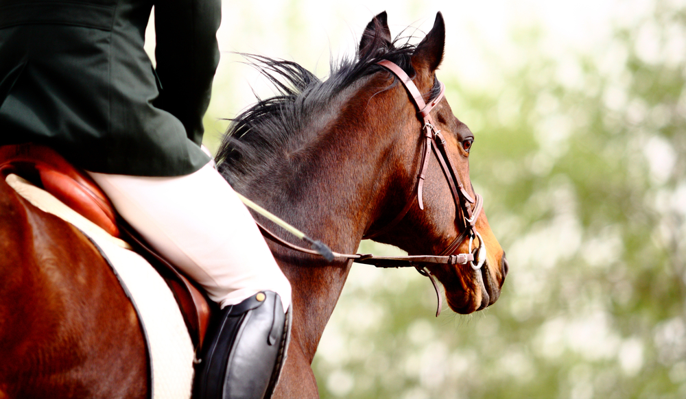 How Tier 3 Restrictions Affect Horse Riders