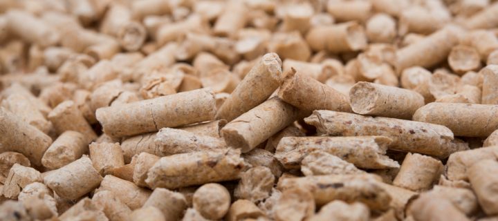 How Biomass Fuel Impacts the Environment