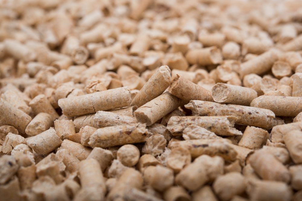 How Biomass Fuel Impacts the Environment