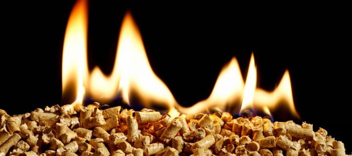 Why Biomass Fuel Boilers are Essential