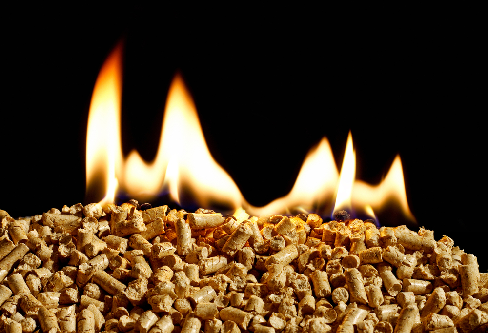 Why Biomass Fuel Boilers are Essential