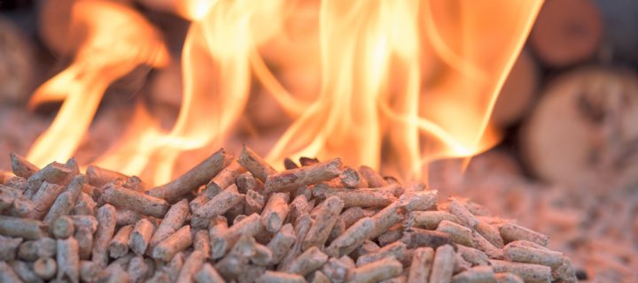 What Are The Main Components of Biomass Fuel Boilers?