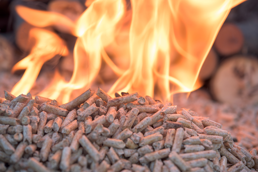 What are the main components of Biomass Fuel Boilers?