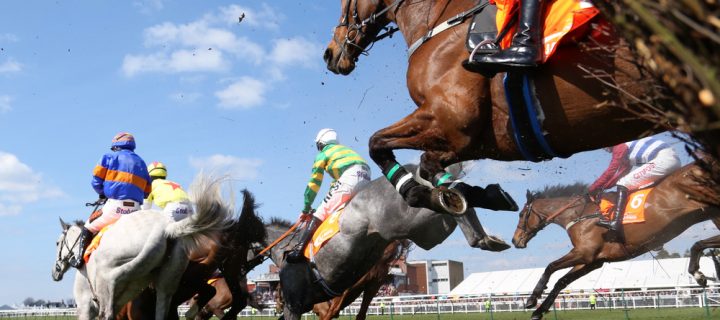 Why Quality Equine Bedding Could Ensure Grand National Success