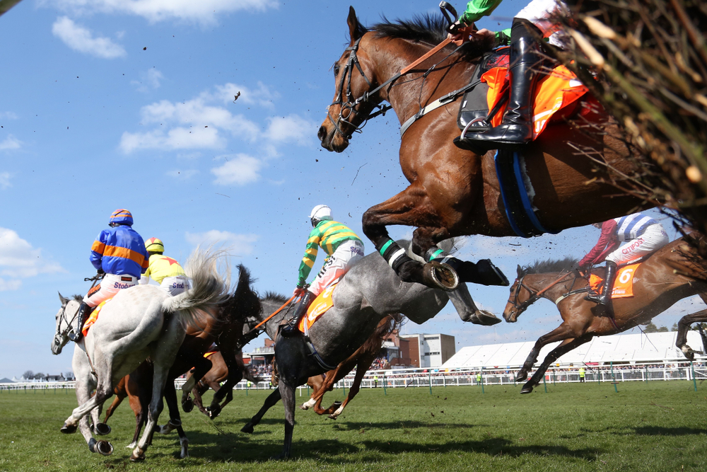 Why Quality Equine Bedding Could Ensure Grand National Success