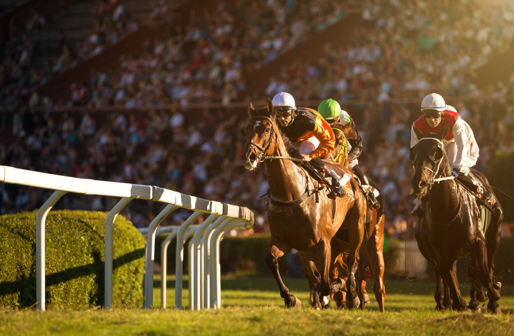 Preparing for Royal Windsor Show with Equine Bedding