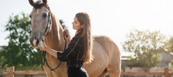 How to reduce heat stress in horses