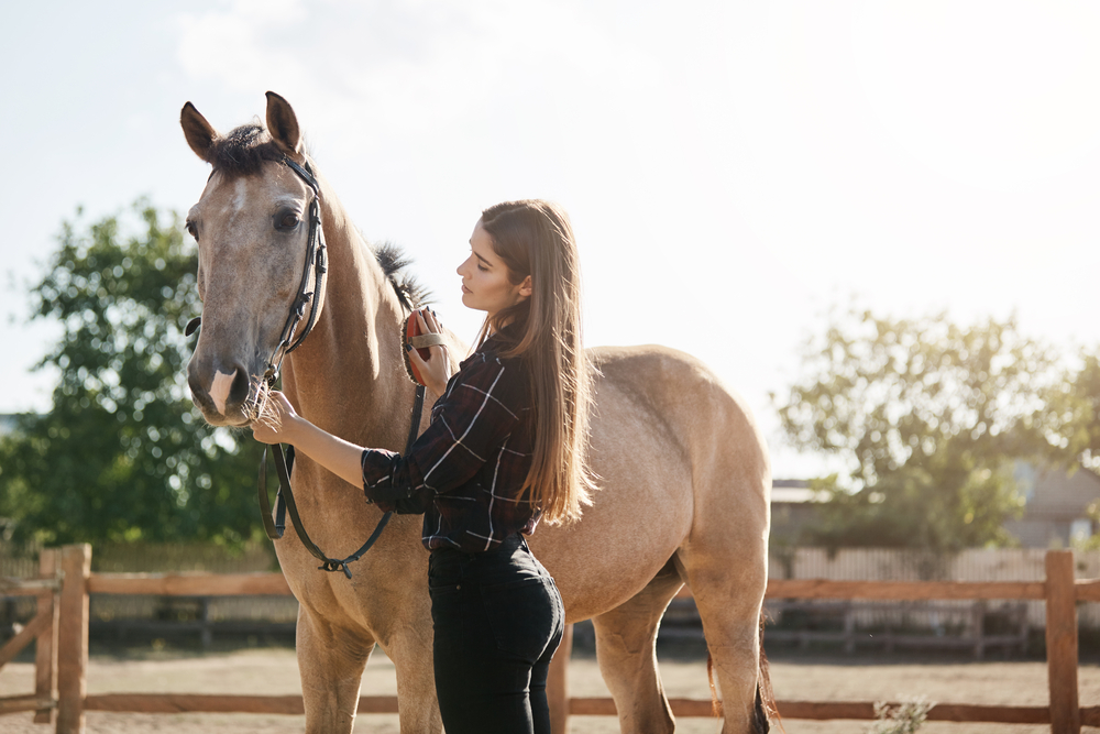 How to reduce heat stress in horses