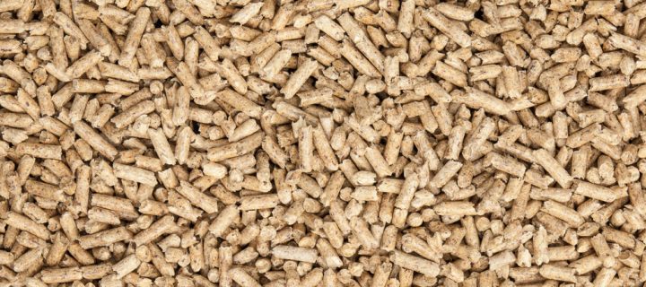 What are Wood Fuel Pellets?