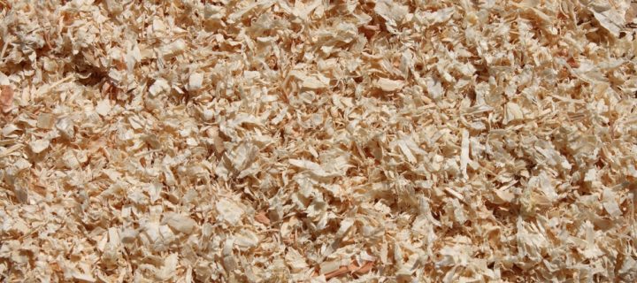 Why Choose Sawdust For Animal Bedding?