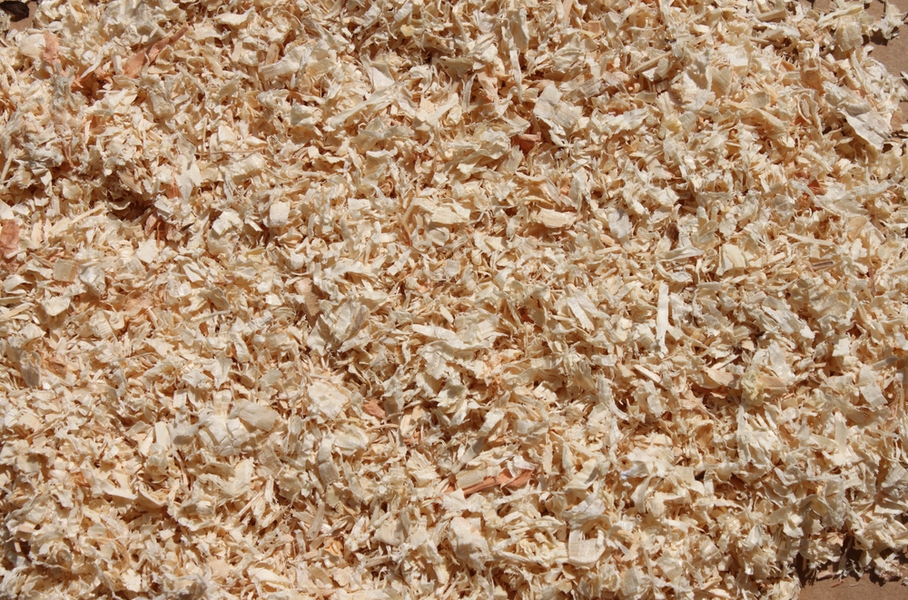 Why Choose Sawdust For Animal Bedding?